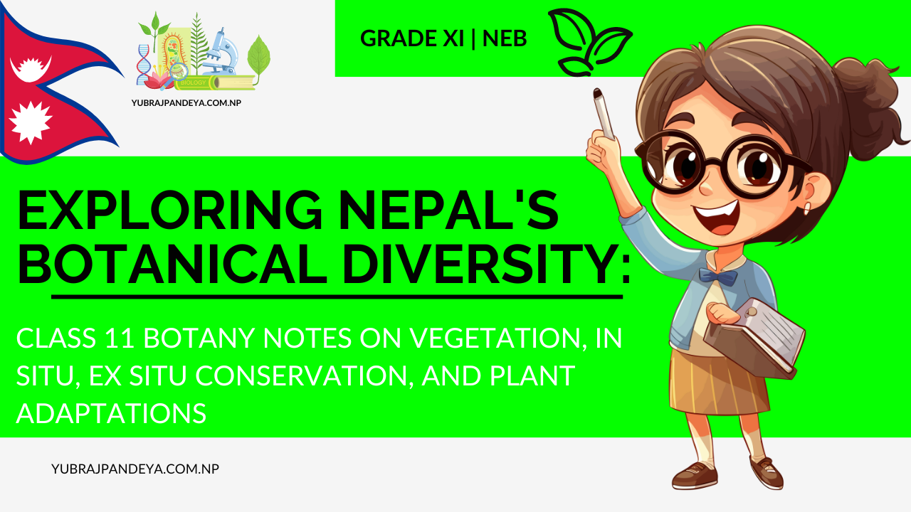 Exploring Nepal’s Botanical Diversity: Class 11 Botany Notes on Vegetation, In Situ, Ex Situ Conservation, and Plant Adaptations